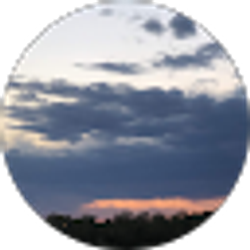 Profile photo of Judy Do