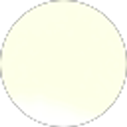 Profile photo of Lexi