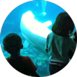 Profile photo of Rob Rasmussen