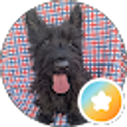 Profile photo of Sweet Tea