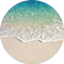 Profile photo of T. Johnston