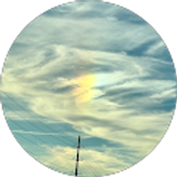 Profile photo of Katie York