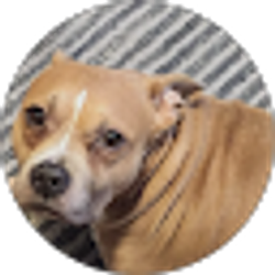 Profile photo of nancy hughes