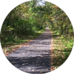 Profile photo of Timothy O'Donnell