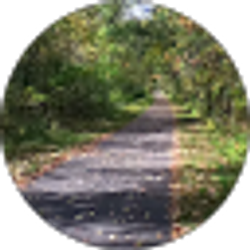 Profile photo of Timothy O'Donnell