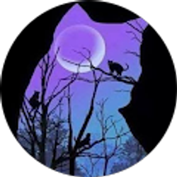 Profile photo of Quadmom 615