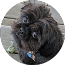 Profile photo of Diane Maginnis