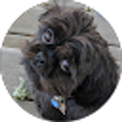 Profile photo of Diane Maginnis