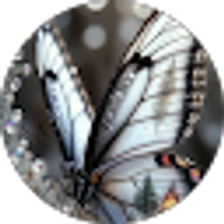 Profile photo of Gina Neely