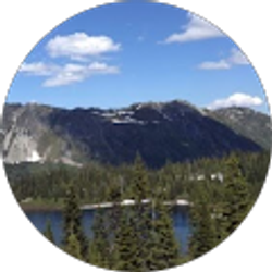 Profile photo of D C