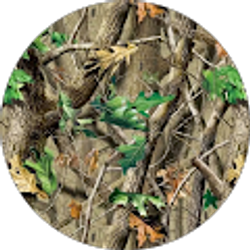 Profile photo of Michael Bryant
