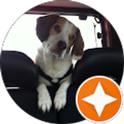 Profile photo of Rebecca Hulk