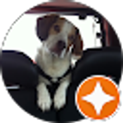 Profile photo of Rebecca Hulk