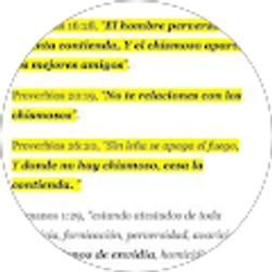 Profile photo of Jose Gomez