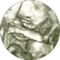 Profile photo of eric newiger