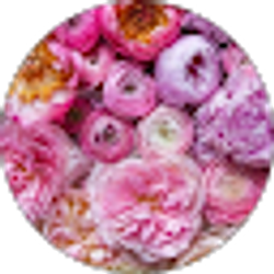 Profile photo of Evelyn Fouse