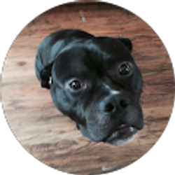 Profile photo of Simon Enreke