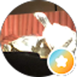 Profile photo of Nicholas R