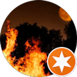 Profile photo of Dori Wallace