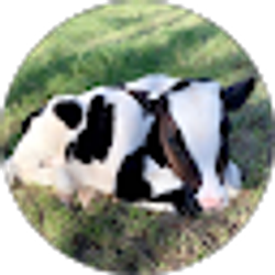 Profile photo of Karen McKenzie