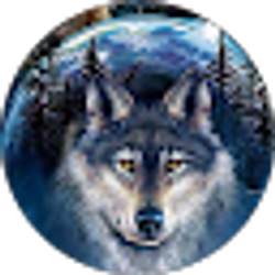 Profile photo of Shad0w.w0lf