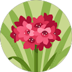 Profile photo of Autumn Seasons