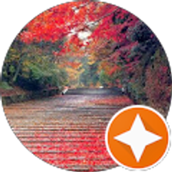 Profile photo of jim chen