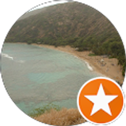 Profile photo of Stephen