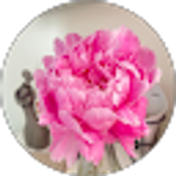 Profile photo of Xianghong Yu