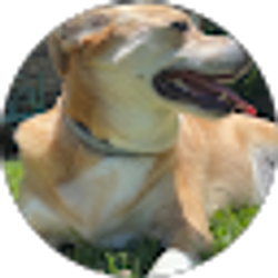 Profile photo of Ariana Solorzano