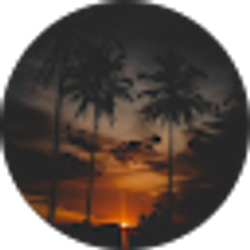 Profile photo of Asmaa Shedid