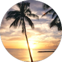 Profile photo of lesli pineda