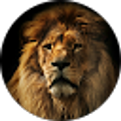 Profile photo of Adrian .R TFK