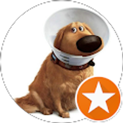 Profile photo of missy Langdon