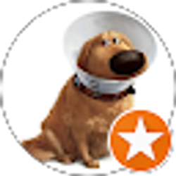 Profile photo of missy Langdon