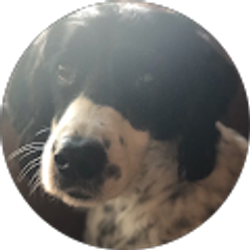 Profile photo of Lori Cleaver