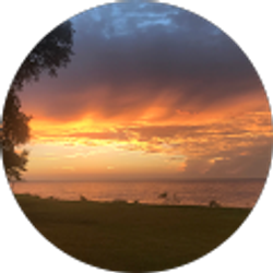 Profile photo of W.S. Williams