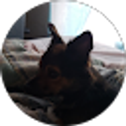 Profile photo of kkma chicken