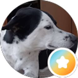 Profile photo of Shelley Schmidt