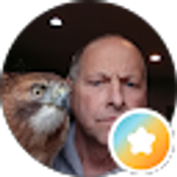Profile photo of Michael Evans