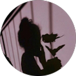 Profile photo of laisha campos