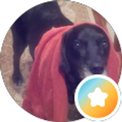 Profile photo of Bob Barenberg