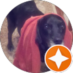 Profile photo of Bob Barenberg