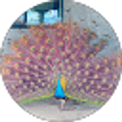 Profile photo of PeacockPete