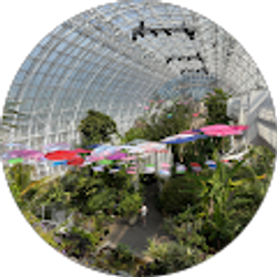 Profile photo of Hanah Rem