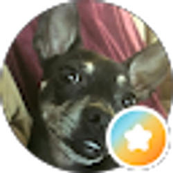 Profile photo of Wendy Bellafiore