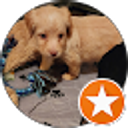 Profile photo of T Modeer