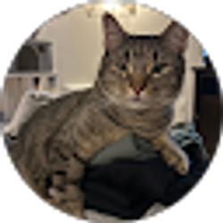Profile photo of Zachary Sullivan