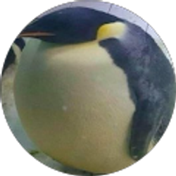 Profile photo of Angelie Esparza