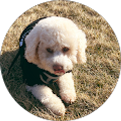 Profile photo of Zujey Lezama